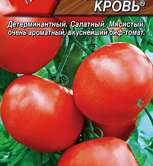 Томат Медвежья кровь