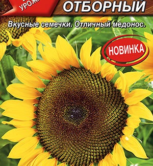 Подсолнечник Донской отборный