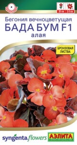 Бегония Бада бум F1 алая