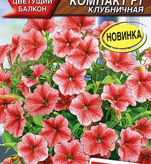 Петуния Городская компакт F1 клубничная