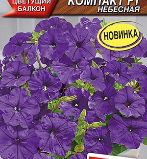 Петуния Городская компакт F1 небесная