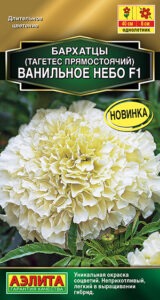 Бархатцы Ванильное небо F1 махровые