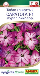 Табак крылатый Саратога F1 пурпл биколор