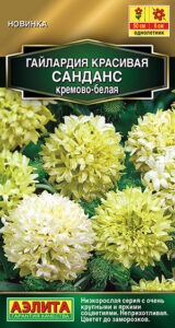 Гайлардия Санданс кремово-белая