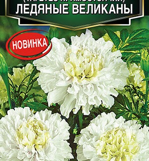 Бархатцы Ледяные великаны прямостоячие