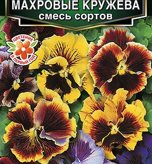 Виола Махровые кружева, смесь сортов