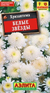 Хризантема девичья Белые Звезды