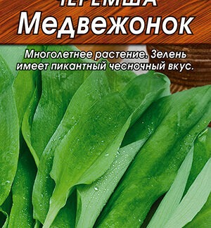 Черемша Медвежонок