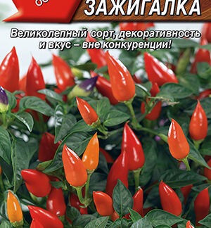 Перец декоративный Зажигалка