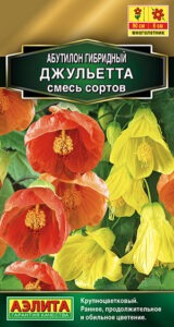 Абутилон гибридный Джульетта, смесь сортов