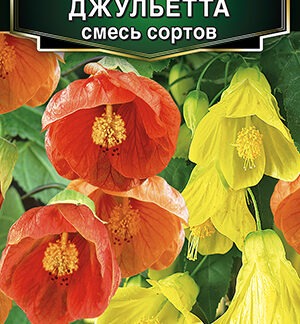 Абутилон гибридный Джульетта, смесь сортов