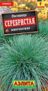 Овсяница Серебристая многолетняя