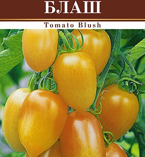 Томат Блаш