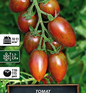 Томат Любопытный нос