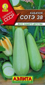 Кабачок белоплодный Сотэ 38