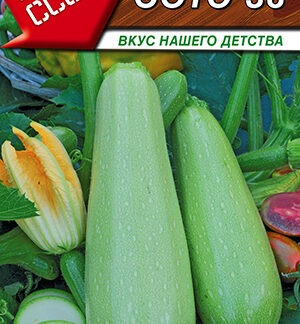 Кабачок белоплодный Сотэ 38