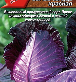 Капуста к/к Бычье сердце красное
