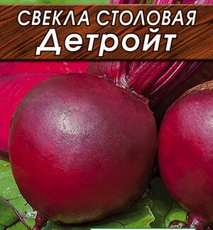 Свекла столовая Детройт