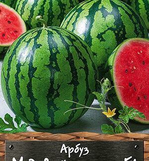 Арбуз Медовый аромат F1