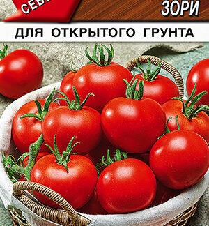 Томат Вологодские зори