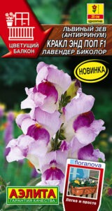 Львиный зев Кракл энд поп F1 лавендер биколор