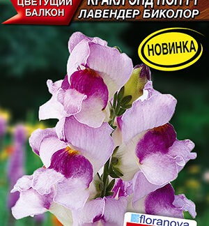 Львиный зев Кракл энд поп F1 лавендер биколор