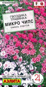 Гвоздика Микро чипс многолетняя, смесь сортов