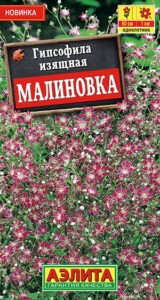 Гипсофила изящная Малиновка