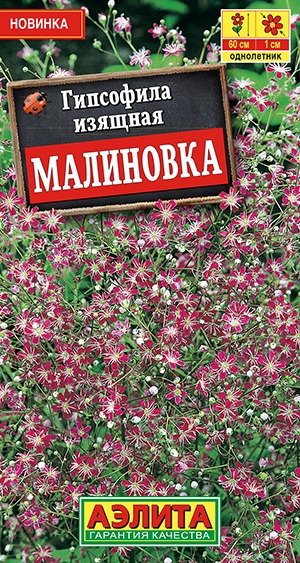 Гипсофила изящная Малиновка