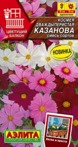 Космея Казанова, смесь сортов