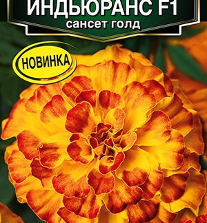 Бархатцы Индьюранс F1 сансет голд