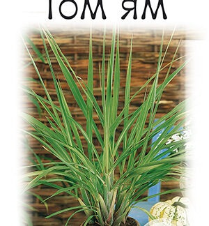 Лемонграсс Том ям