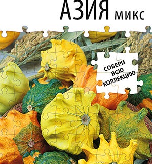 Тыква декоративная Азия микс