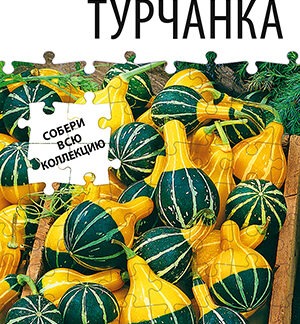 Тыква декоративная Турчанка