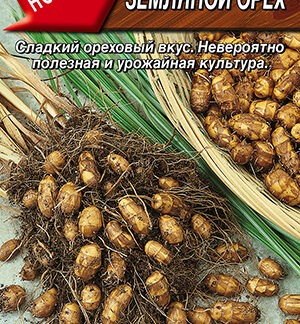 Чуфа Земляной орех