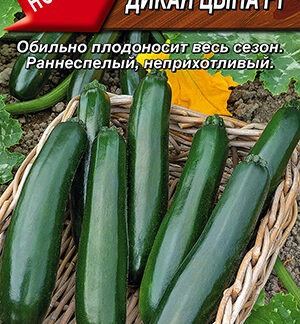 Кабачок цуккини Дикая цыпа F1