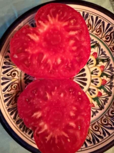 Коллекционный томат Минусинский богатырь