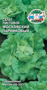 Салат Московский парниковый листовой