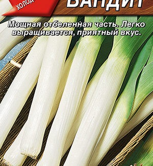 Лук порей Бандит