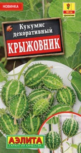 Кукумис декоративный Крыжовник