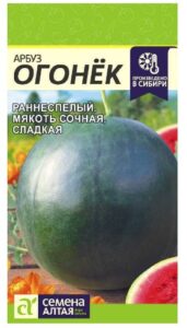 Арбуз Огонек