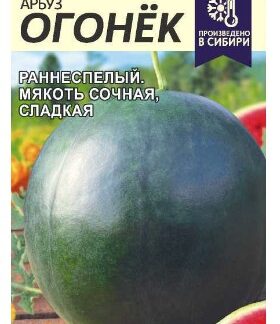 Арбуз Огонек