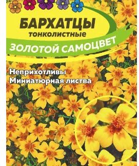 Бархатцы Золотой Самоцвет тонколистные