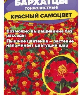 Бархатцы Красный Самоцвет тонколистные
