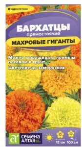 Бархатцы Махровые Гиганты