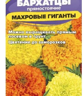 Бархатцы Махровые Гиганты