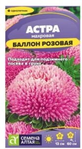 Астра Баллон Розовая