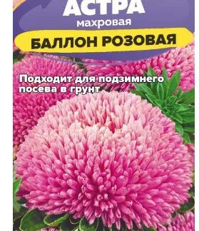Астра Баллон Розовая