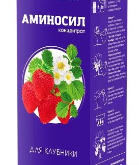 Витамины Аминосил  для клубники в форме концентрата