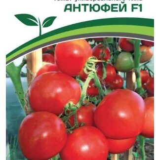 Томат АНТЮФЕЙ F1
